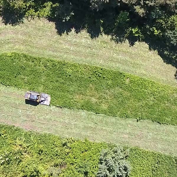 Arial view of a skid steer bush hogging a field.