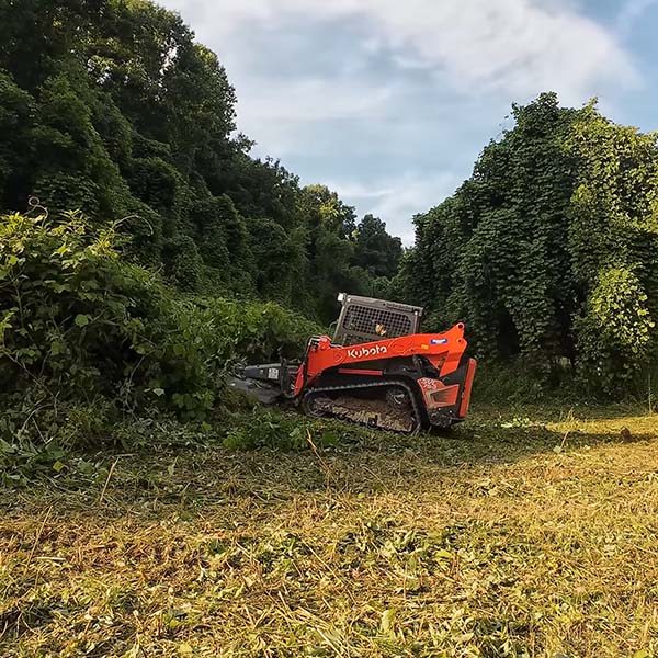 Bush hogging a kudzu patch.